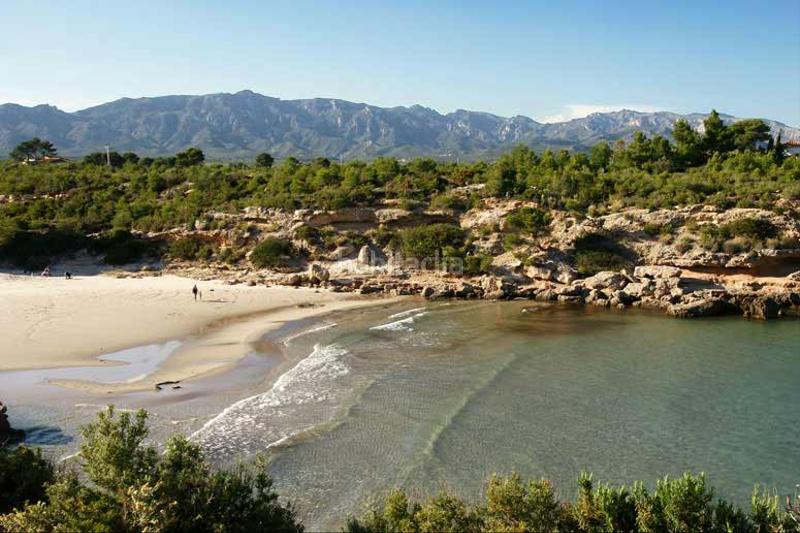 Foto b3ba448e-0153-4283-9082-b7aca5828971. Fondo rustico in Roques Daurades-L´Estany Ametlla de Mar (L´)