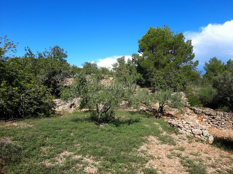 Foto b57a3c84-18f4-4389-83f3-e3ef7f23c4b9. Fondo rustico in Roques Daurades-L´Estany Ametlla de Mar (L´)