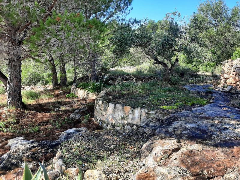 Foto c03ded56-2e69-48ba-91eb-75e7054a0d11. Fondo rustico in Roques Daurades-L´Estany Ametlla de Mar (L´)