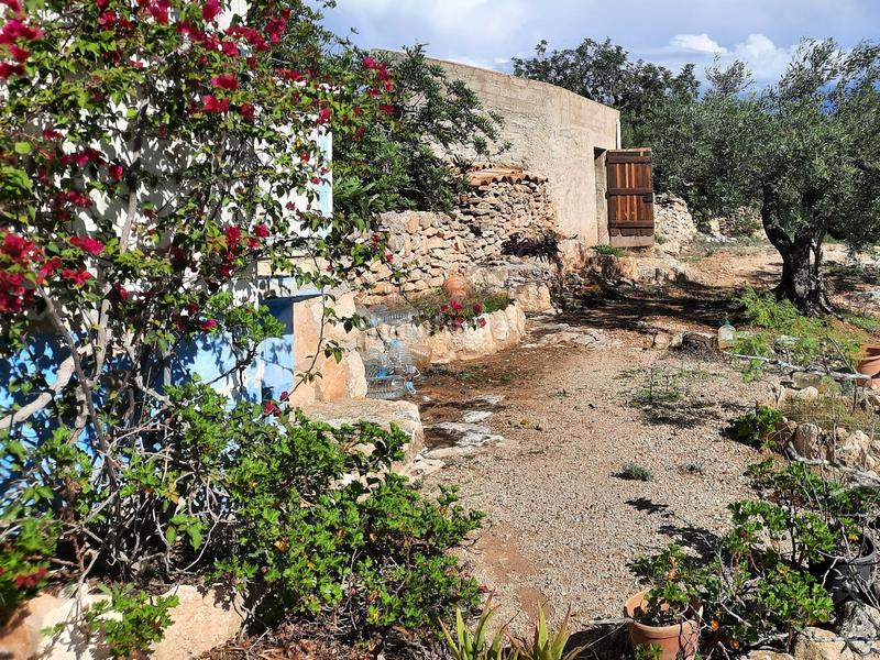 Foto da344697-b10c-46a8-9a68-c2076246c43c. Fondo rustico in Roques Daurades-L´Estany Ametlla de Mar (L´)