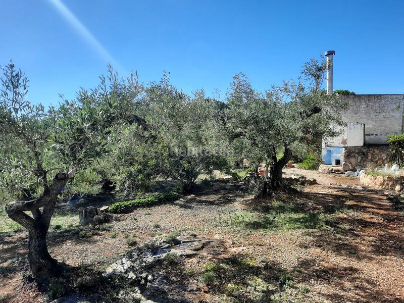Foto e69f0c94-e3c9-4dad-b601-b14fe311cdb6. Fondo rustico in Roques Daurades-L´Estany Ametlla de Mar (L´)