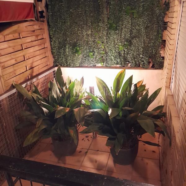 Foto 98512c6a-07d3-49fa-b15f-18d47e498907. Chalet  av. mediterranea en Playa Burriana