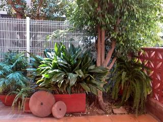 Affitto Chalet in Avenida mediterrania 86. Chalet en burriana