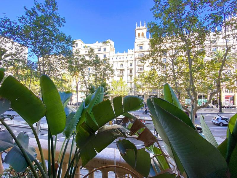 Foto a2a70307-8f3d-4515-b1a0-1d127977beed. Lloguer oficina a L´Antiga Esquerra de l´Eixample Barcelona