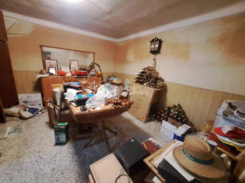 Foto 5207ebf0-ba64-4f96-9d58-8737dfd27d37. Maison dans Norte Sant Vicent del Raspeig