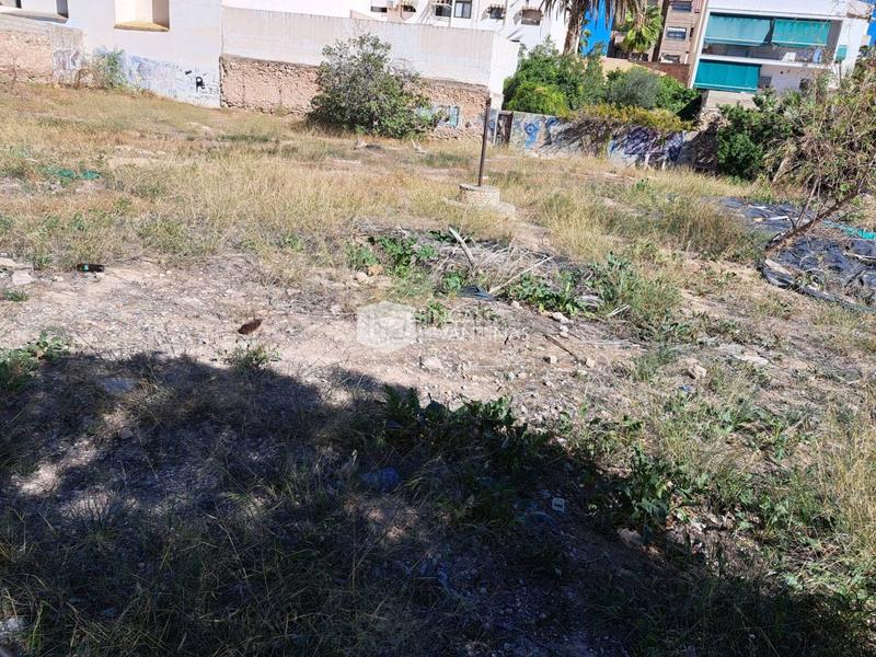 Foto f4c5f527-7d6f-4811-97ac-81d69ca70758. Terrain résidentiel dans Norte Sant Vicent del Raspeig