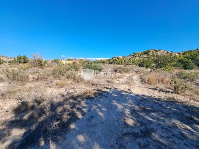 Foto 0285b2c3-ff73-46bf-90ad-6d6e9929710d. Terreno residencial parcela en venta moralet en Cañada del Fenollar Alicante