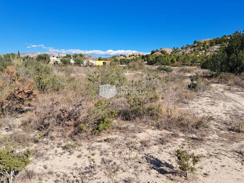 Foto 0c401989-8cbc-485c-bef7-f0a5bf7a4b05. Terreno residencial parcela en venta moralet en Cañada del Fenollar Alicante