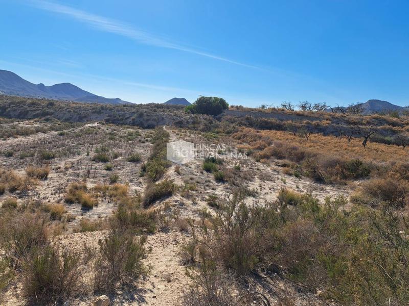 Foto 21f4fe68-03c6-4597-941a-dca35656cb4b. Terreno residencial parcela en venta moralet en Cañada del Fenollar Alicante