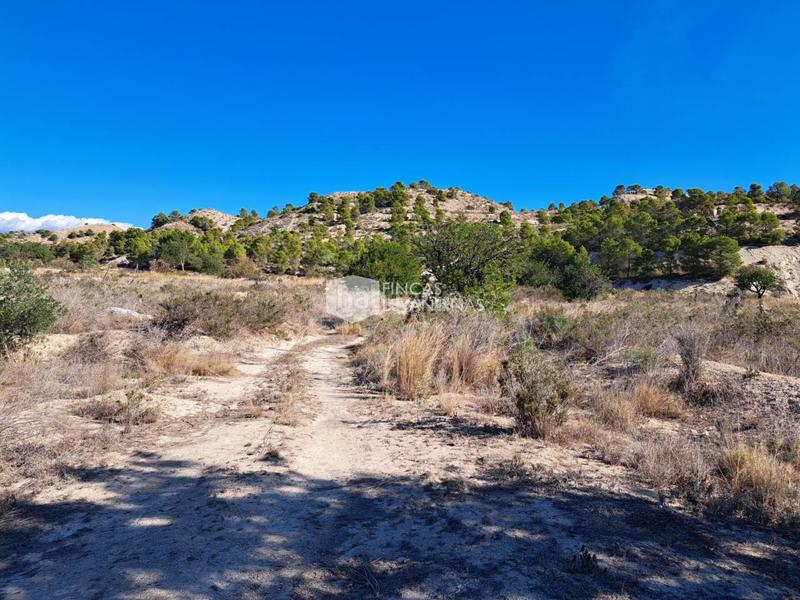 Foto 2d7f2675-b2da-474c-9be2-af5276a115b7. Terreno residencial parcela en venta moralet en Cañada del Fenollar Alicante