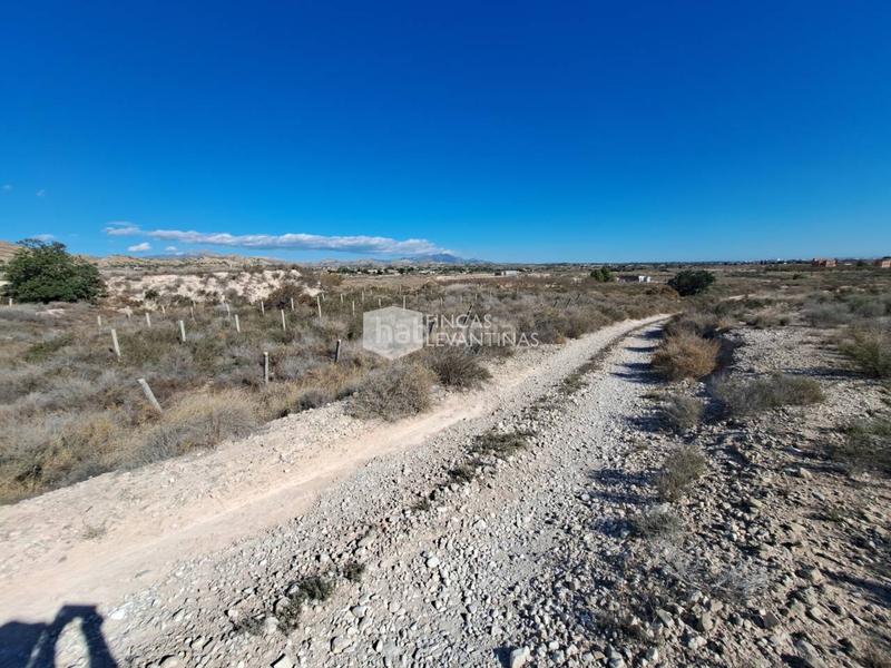 Foto 2dd806df-3e6d-4db6-966e-a611b43e6ea1. Terreno residencial parcela en venta moralet en Cañada del Fenollar Alicante