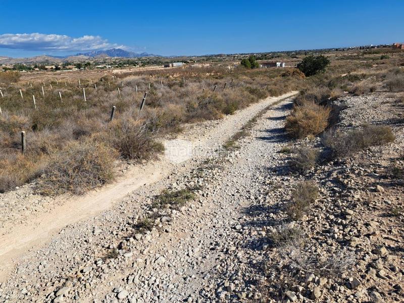Foto 303e7c98-3e5b-4f9d-84c9-6f7ee7787b66. Terreno residencial parcela en venta moralet en Cañada del Fenollar Alicante