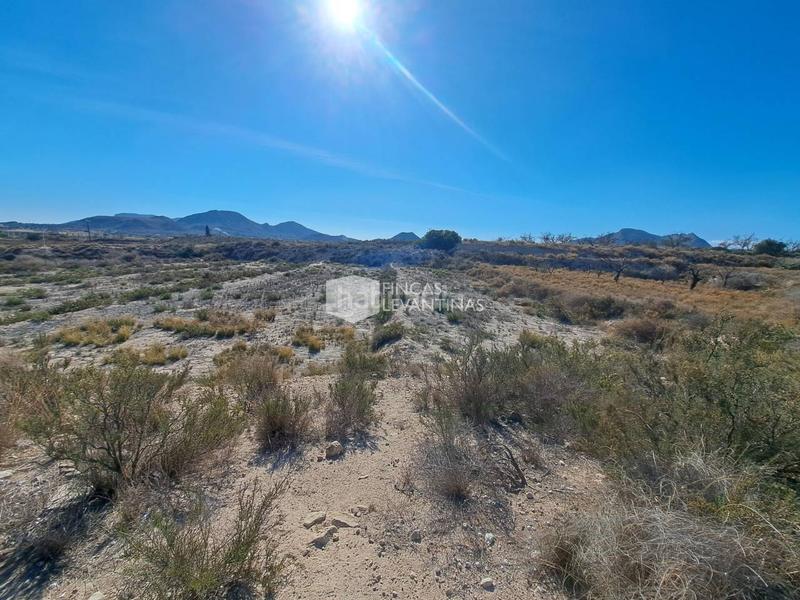 Foto 3151f5f6-f1bc-4c9d-88b8-dfd37a6d7971. Terreno residencial parcela en venta moralet en Cañada del Fenollar Alicante