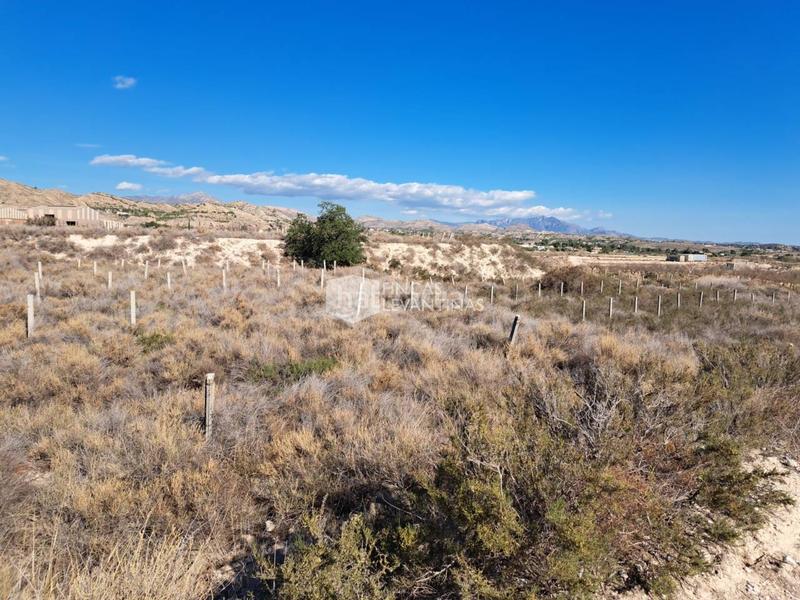 Foto 316ae22f-b4b0-4c48-afcc-50412cf23226. Terreno residencial parcela en venta moralet en Cañada del Fenollar Alicante