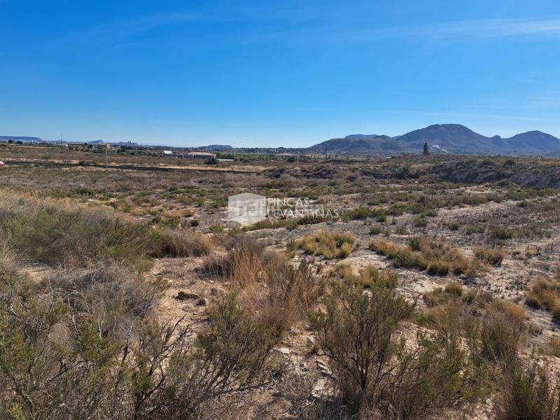 Foto 3e90eb8b-fa27-4223-bef7-758ff99e2e13. Terreno residencial parcela en venta moralet en Cañada del Fenollar Alicante