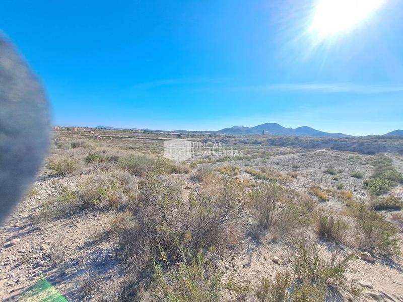 Foto 40689698-7c22-4a8c-8bd5-aea1d3b13443. Terreno residencial parcela en venta moralet en Cañada del Fenollar Alicante