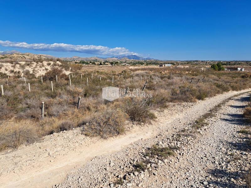 Foto 48fc4294-0b37-4daf-b3d7-e4dabc93be15. Terreno residencial parcela en venta moralet en Cañada del Fenollar Alicante