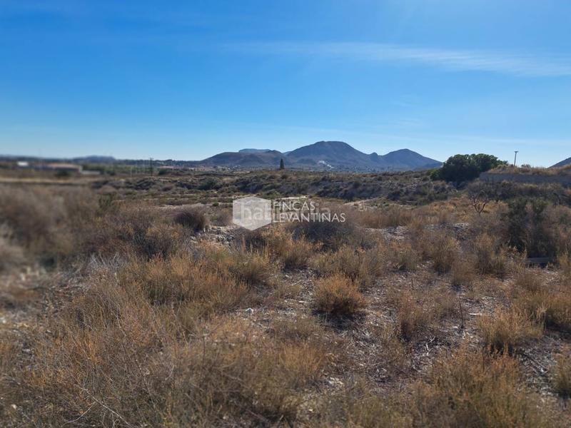 Foto 4e64a5ac-fb4c-4beb-8e42-94bc3d14a9c1. Terreno residencial parcela en venta moralet en Cañada del Fenollar Alicante