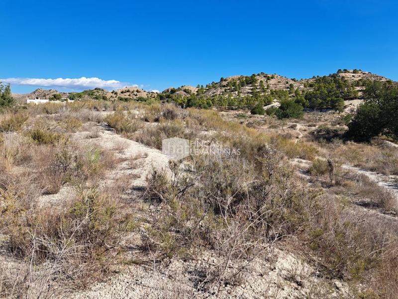 Foto 5486f979-6a12-461d-a424-28afc352cc02. Terreno residencial parcela en venta moralet en Cañada del Fenollar Alicante