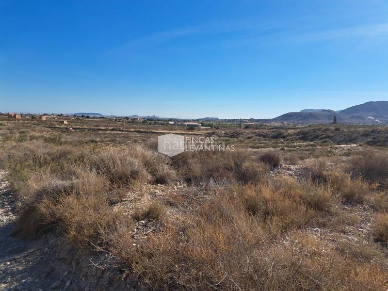 Foto 58c49f9a-ac51-408f-aee7-cb1970b3c6f2. Terreno residencial parcela en venta moralet en Cañada del Fenollar Alicante