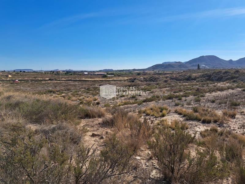 Foto 5af31d1a-6e91-493f-b30a-034d64269007. Terreno residencial parcela en venta moralet en Cañada del Fenollar Alicante