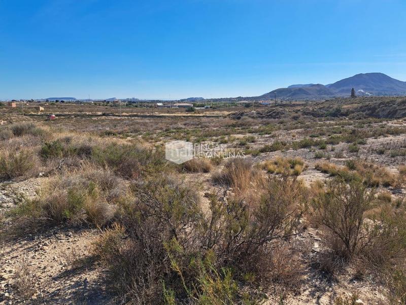Foto 5d1ed846-9b0e-4e36-b6b1-48d309167c69. Terreno residencial parcela en venta moralet en Cañada del Fenollar Alicante