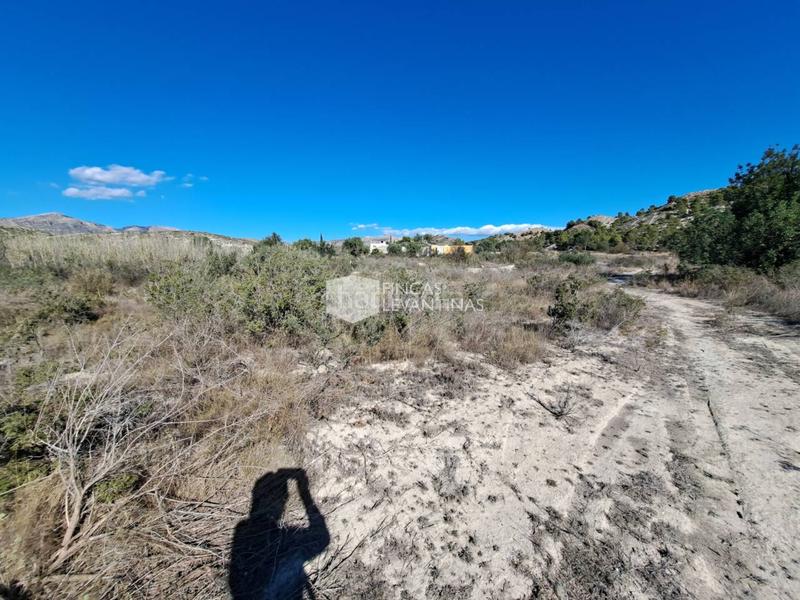 Foto 645b7302-4eaf-4b2a-9381-75428a442843. Terreno residencial parcela en venta moralet en Cañada del Fenollar Alicante