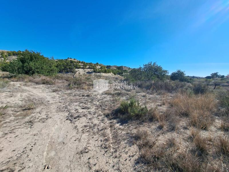 Foto 65e54845-7a87-49bb-ac72-0eebcc7daa78. Terreno residencial parcela en venta moralet en Cañada del Fenollar Alicante