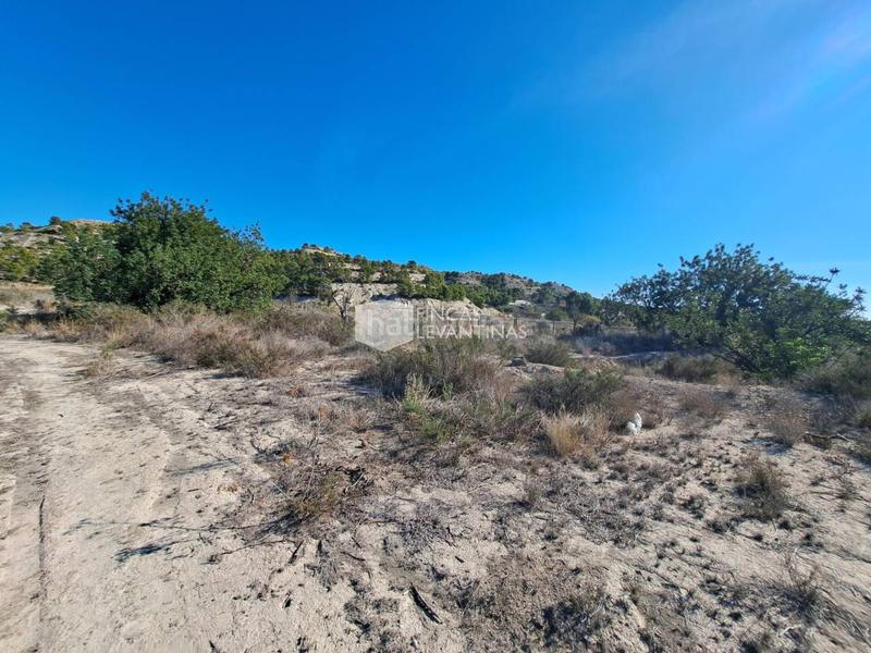 Foto 6608ac09-2ea0-44e0-abaa-d2036a6d7b37. Terreno residencial parcela en venta moralet en Cañada del Fenollar Alicante