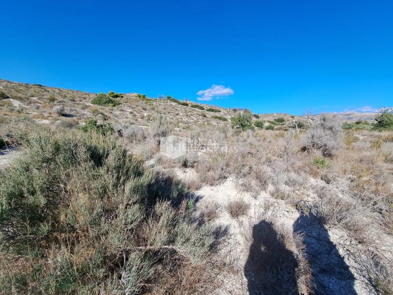 Foto 7b16d869-ff59-44da-90e4-ae14a0f0528e. Terreno residencial parcela en venta moralet en Cañada del Fenollar Alicante