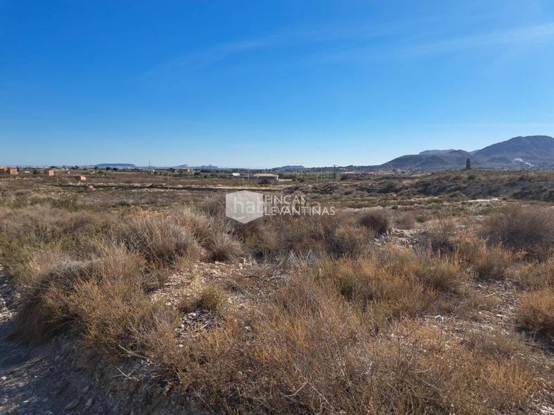 Foto 7b6cb277-66ed-43b6-ab80-131aaa3456a8. Terreno residencial parcela en venta moralet en Cañada del Fenollar Alicante