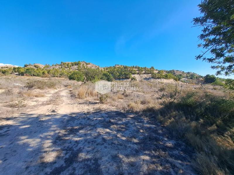 Foto 7d030e46-313b-468d-853d-9e7900e7ff0b. Terreno residencial parcela en venta moralet en Cañada del Fenollar Alicante
