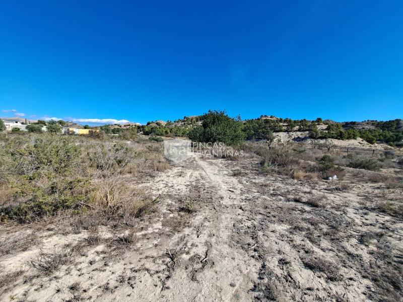 Foto a54269ca-e0da-4a74-b29b-7e04fa58d7f1. Terreno residencial parcela en venta moralet en Cañada del Fenollar Alicante