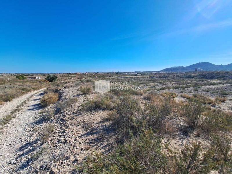 Foto b7c1a822-1c47-4250-a27d-637472b697ce. Terreno residencial parcela en venta moralet en Cañada del Fenollar Alicante