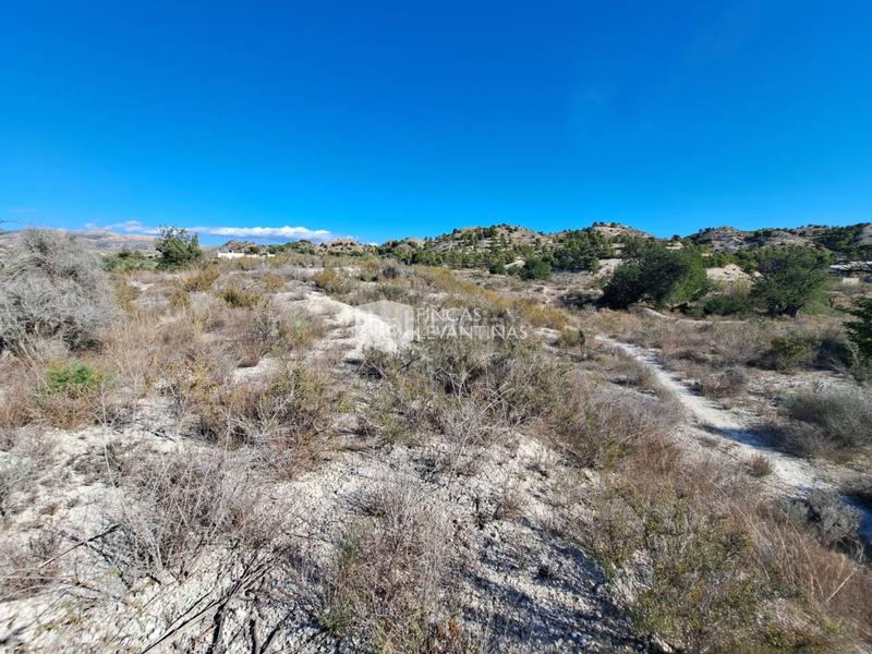 Foto c44d5b8a-dfbf-4c48-a5f3-bdcd2c8b201f. Terreno residencial parcela en venta moralet en Cañada del Fenollar Alicante