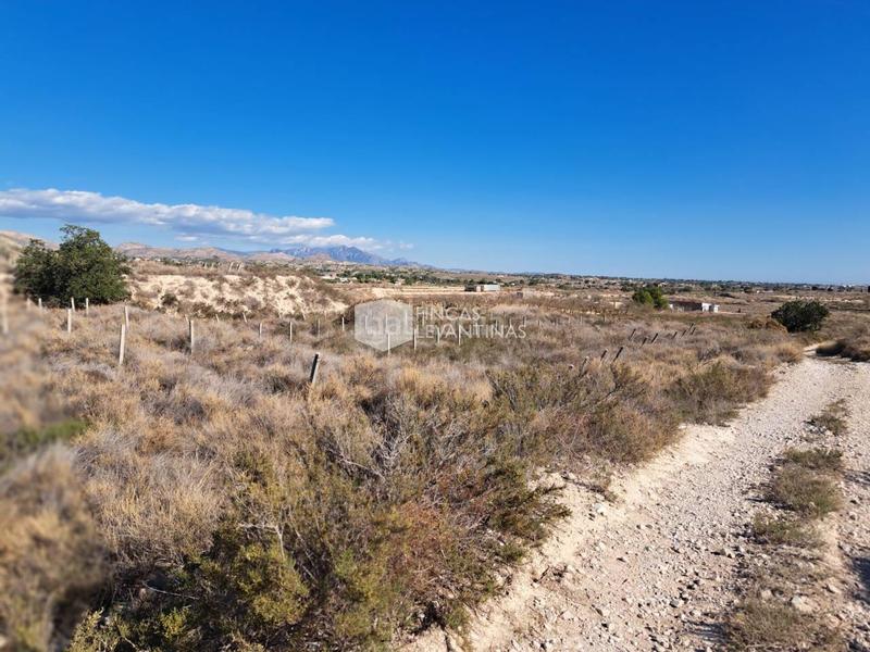 Foto c554ef18-af32-4c94-92b5-1e536f401b97. Terreno residencial parcela en venta moralet en Cañada del Fenollar Alicante