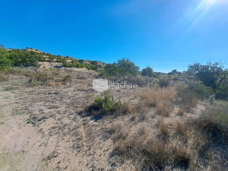 Foto c6120365-a1d0-4925-88c4-4131af4a110d. Terreno residencial parcela en venta moralet en Cañada del Fenollar Alicante