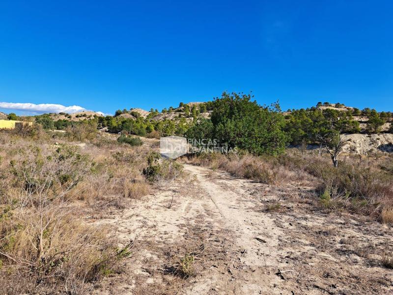 Foto ea6de8de-962d-4f83-990d-faa24563eab9. Terreno residencial parcela en venta moralet en Cañada del Fenollar Alicante