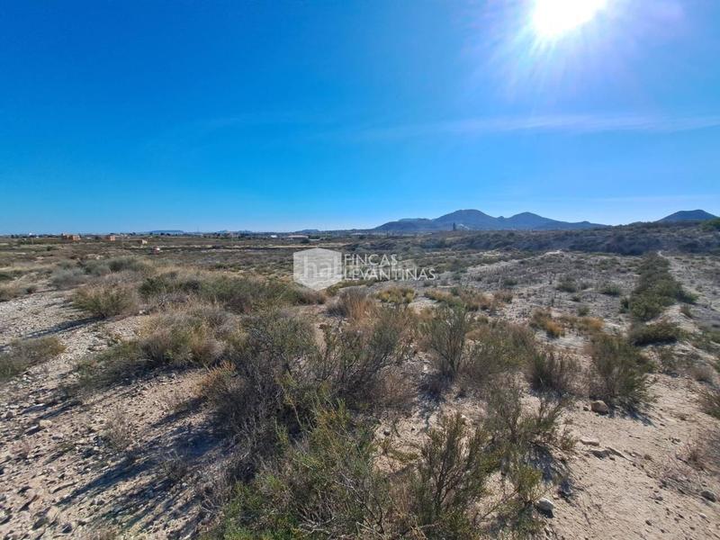 Foto f79233b5-7d53-476f-b676-faec008fdf1c. Terreno residencial parcela en venta moralet en Cañada del Fenollar Alicante