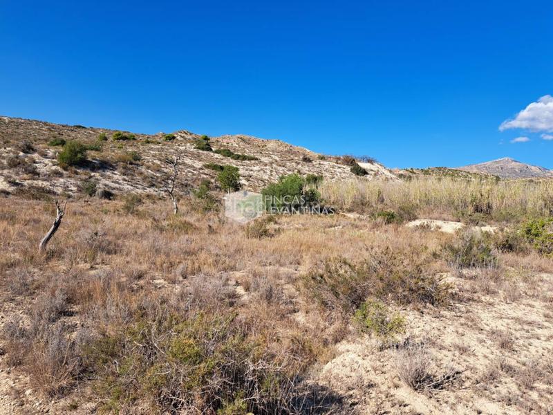 Foto fa69c157-9591-4a18-9098-ea758c2b1da3. Terreno residencial parcela en venta moralet en Cañada del Fenollar Alicante