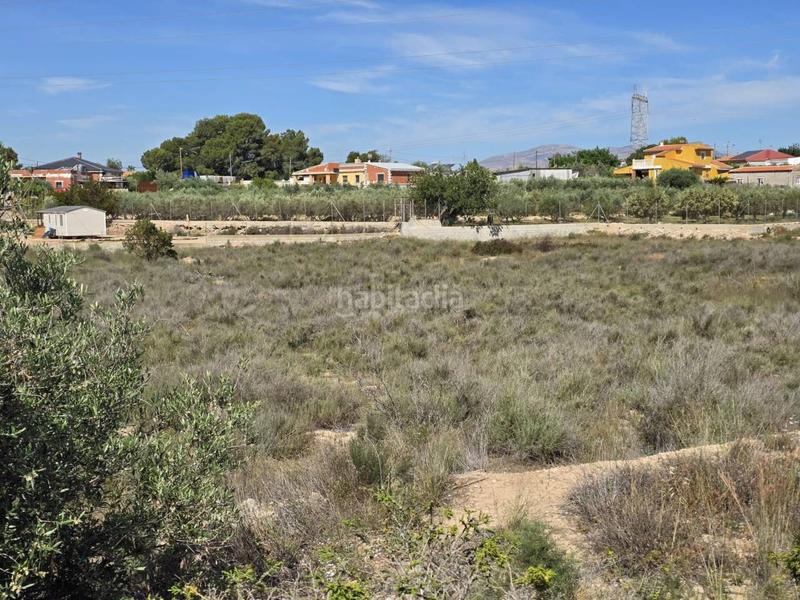 Foto 1761ff31-9135-434e-873b-f42534966a27. Finca rústica a Norte Sant Vicent del Raspeig