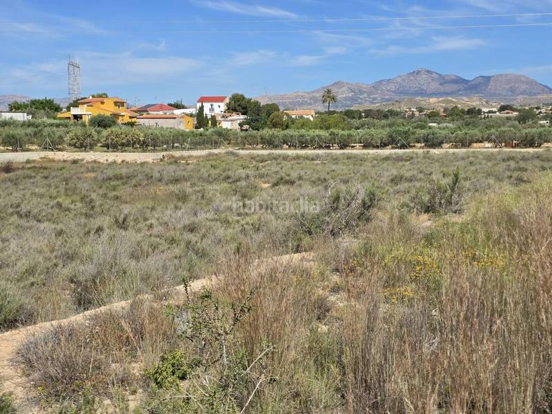 Foto 30b40f9a-7cde-47d8-a502-d57ccfb84a7a. Finca rústica a Norte Sant Vicent del Raspeig