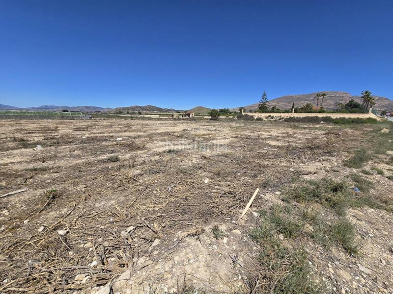 Foto 32cc8268-5e5c-4ab0-a886-a3b44f21f285. Finca rústica a Norte Sant Vicent del Raspeig