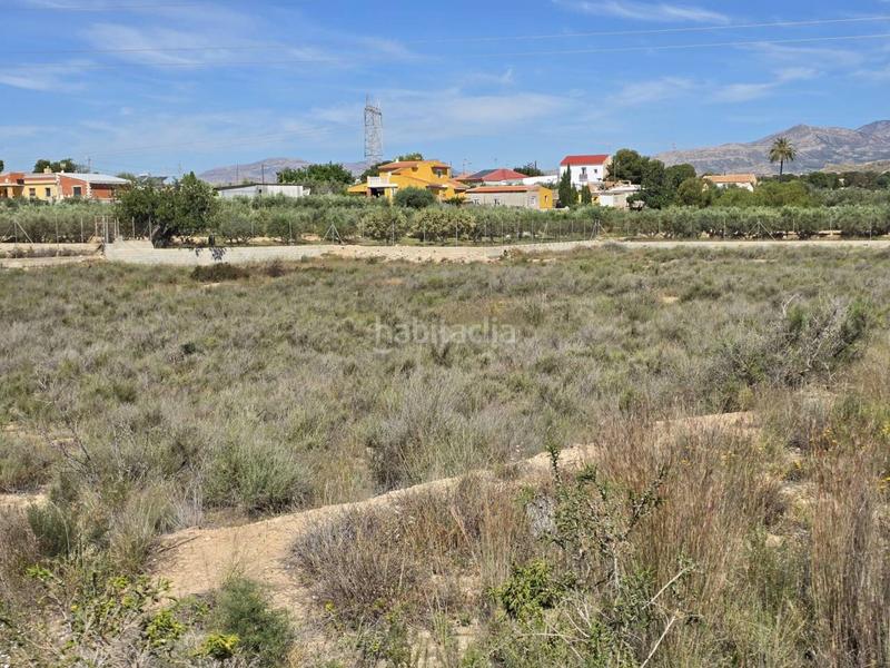 Foto 53530d25-b392-499e-bce4-04dec97d4fb0. Finca rústica a Norte Sant Vicent del Raspeig