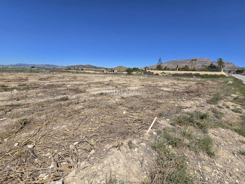 Foto cb53fdeb-6ce3-4a6e-86d3-0376cd1f130e. Finca rústica a Norte Sant Vicent del Raspeig