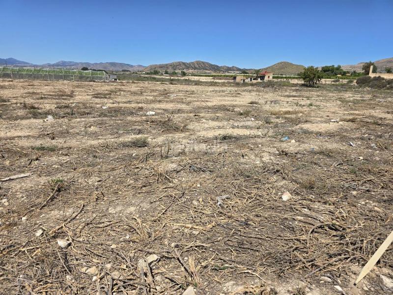 Foto e2a75c58-52ce-4f49-9da4-65337607dd76. Finca rústica a Norte Sant Vicent del Raspeig