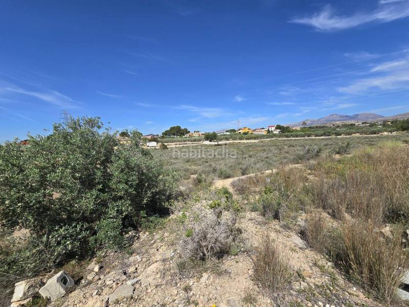 Foto e762b49b-e091-46ee-8f44-b3ef9efbd515. Finca rústica a Norte Sant Vicent del Raspeig