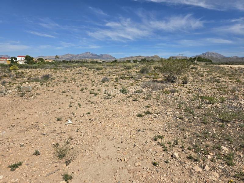 Foto f1ff539b-6467-47d7-892c-69ff20ecf13b. Finca rústica a Norte Sant Vicent del Raspeig