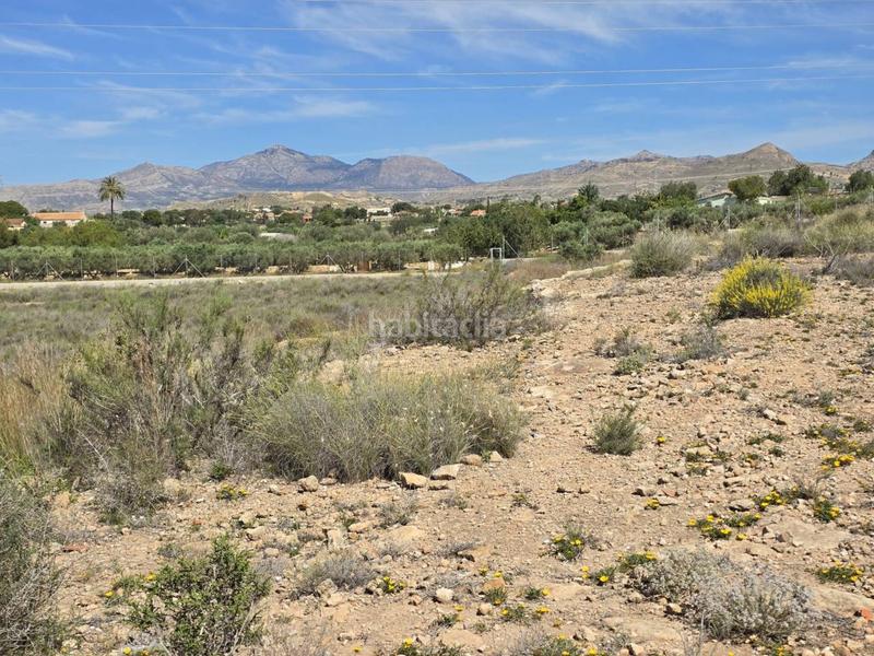 Foto fe19899b-f674-4f8b-8533-dc8a29455efd. Finca rústica a Norte Sant Vicent del Raspeig