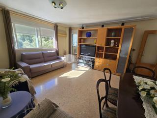 Location Appartement à Centro. Alquiler de piso  para estudiantes en sant vicent del raspeig  s
